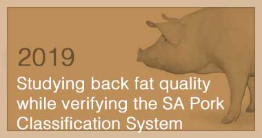 Studying back fat quality while verifying the SA Pork Classification