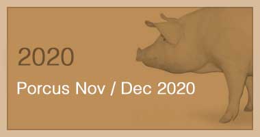 Porcus Nov / Dec 2020