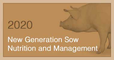 New Generation Sow Nutrition and Management