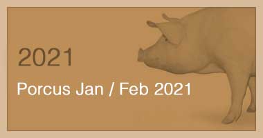 Porcus Jan / Feb 2021