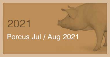 Porcus Jul / Aug 2021