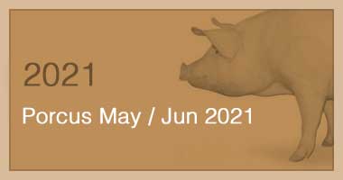 Porcus May / Jun 2021