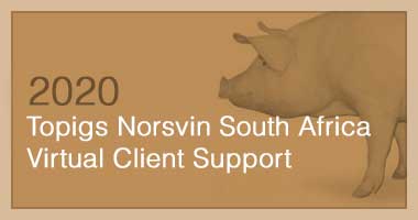 Topigs Norsvin South Africa Virtual Client Support 